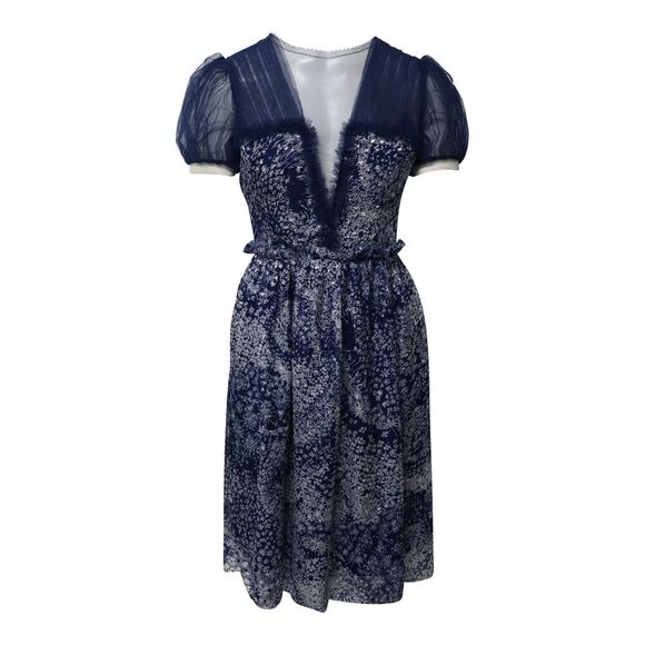 Rodarte Puff Sleeve Knee Length Printed Dress in Blue Silk